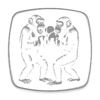 Chimp Boxing Team - Square fridge magnet - white - Front