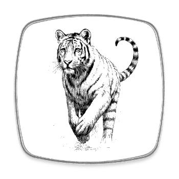 Tiger - Viereckiger Kühlschrankmagnet - Weiß - Vorne