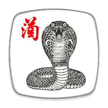 Cobra Asian - Square fridge magnet - white - Front