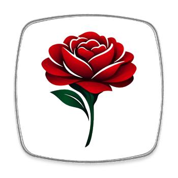 Rose Rouge Fleurs Rouge Profond - Magnet carré - blanc - Devant