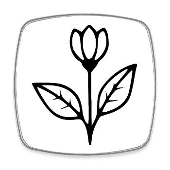 Flower Tulip Flowers Blossom Wildflowers Herbs - Square fridge magnet - white - Front