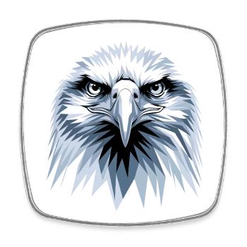 Adler Weißkopfseeadler Steinadler Seeadler Eagle - Viereckiger Kühlschrankmagnet - Weiß - Vorne