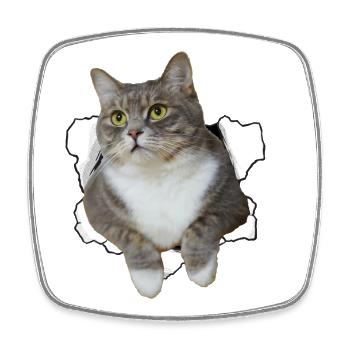 Süße Katze guckt aus Loch - Witziges Katzendesign - Viereckiger Kühlschrankmagnet - Weiß - Vorne