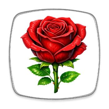 Red Rose Elegance - Square fridge magnet - white - Front