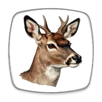 Deer deer natural watercolor - Square fridge magnet - white - Front