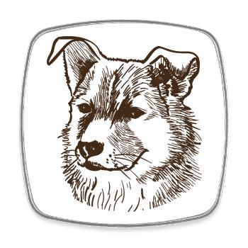 Dog - Square fridge magnet - white - Front