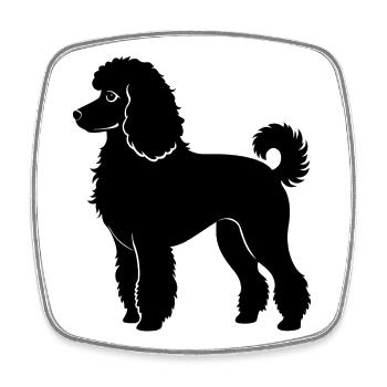 Pudelhund - Viereckiger Kühlschrankmagnet - Weiß - Vorne