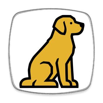 École de chiens Golden Retriever du chien assis - Magnet carré - blanc - Devant