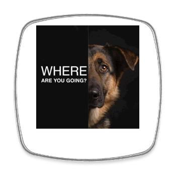 Where Are You Going German Shepherd Saying Sad - Square fridge magnet - white - Front