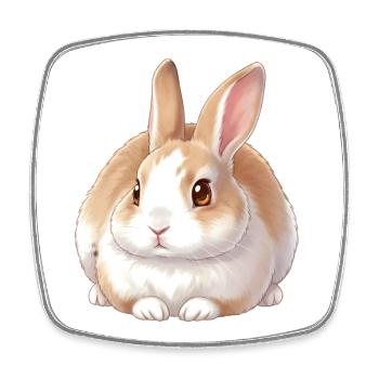 Kaninchen - Viereckiger Kühlschrankmagnet - Weiß - Vorne