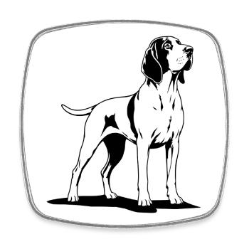 Bracco Italiano en noir - Magnet carré - blanc - Devant