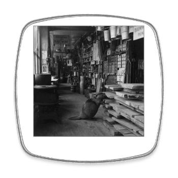 Beaver in the Wood Shop Vintage Retro Animal Crime - Square fridge magnet - white - Front