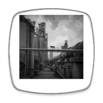 Wolf Lost Place Art en noir et blanc Crime animalier - Magnet carré - blanc - Devant