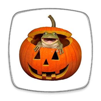 Halloween Frog in Pumpkin T-Shirt Funny - Square fridge magnet - white - Front
