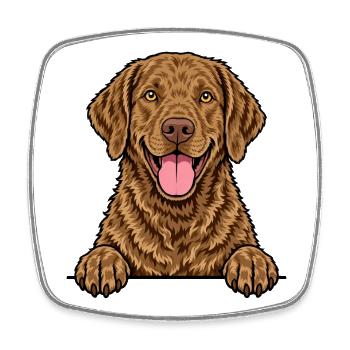 Chesapeake Bay Retriever - Viereckiger Kühlschrankmagnet - Weiß - Vorne
