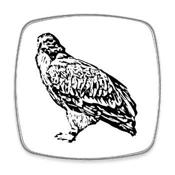 Falken Vogel Vögel - Viereckiger Kühlschrankmagnet - Weiß - Vorne