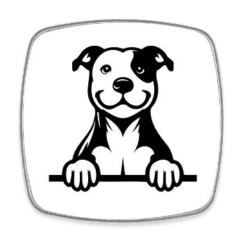 Pitbull - Square fridge magnet - white - Front