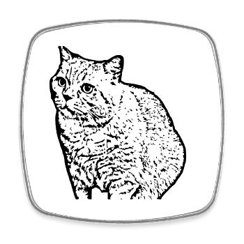 British Shorthair Chat Chat Noir Chats - Magnet carré - blanc - Devant