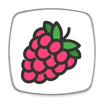 fruit framboise framboise fruits14 végétarien veggie - Magnet carré - blanc - Devant