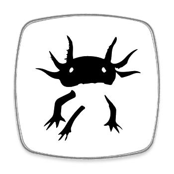 Axolotl - Square fridge magnet - white - Front
