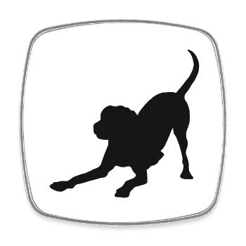 cute dog retriever dogs chihuahua dog labrador - Square fridge magnet - white - Front