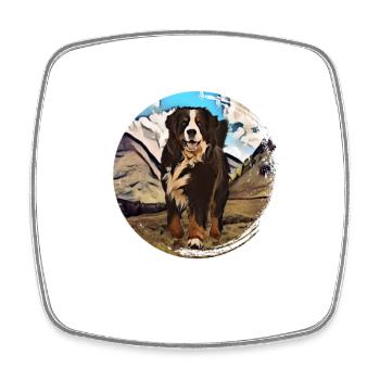 Bernese mountain dog - Square fridge magnet - white - Front