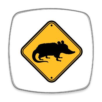 Opossum Gefahr Schild - Viereckiger Kühlschrankmagnet - Weiß - Vorne