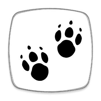 Animal trail Empreinte de pattes Amoureux des animaux - Magnet carré - blanc - Devant