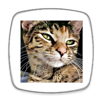 Tabby Katze Porträt - Viereckiger Kühlschrankmagnet - Weiß - Vorne