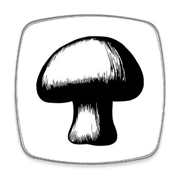 Pilz Pilze Giftpilze Mykologie erdig Vektor 4 - Viereckiger Kühlschrankmagnet - Weiß - Vorne