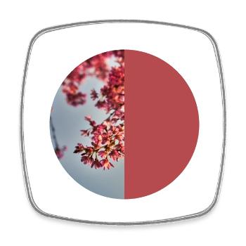 T-shirt fleurs fleurs cerisier fleurs cadeau femme - Magnet carré - blanc - Devant
