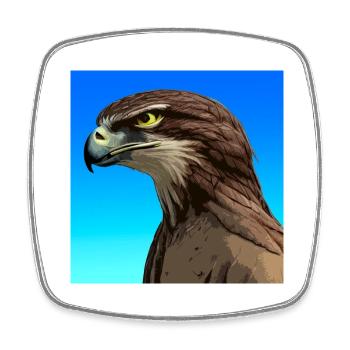 Adler, Alcon, Illustration - Viereckiger Kühlschrankmagnet - Weiß - Vorne