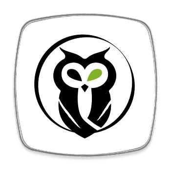 GOWILD owl - without what ... zebra style - Square fridge magnet - white - Front