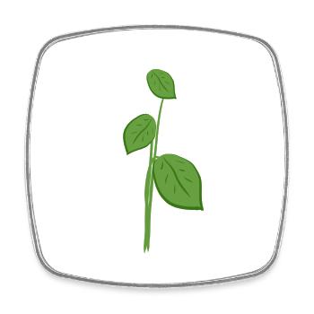 Feuilles Symbole de la nature végétale - Magnet carré - blanc - Devant