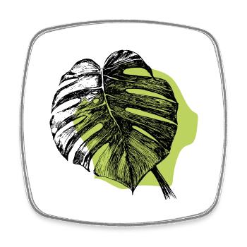 Monstera Blatt und Grün - Viereckiger Kühlschrankmagnet - Weiß - Vorne