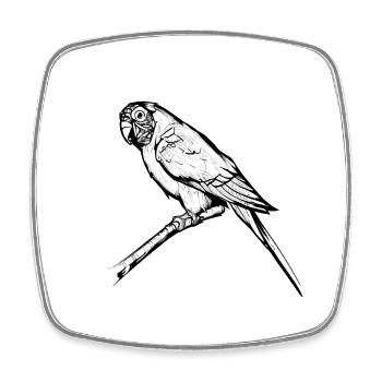 Budgerigar Bird propriétaire Cockatiel Bird - Magnet carré - blanc - Devant