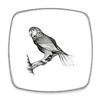 Budgerigar Bird owner Bird cockatiel - Square fridge magnet - white - Front