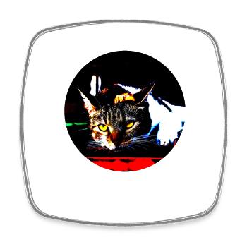 tous les chats sont beaux - Magnet carré - blanc - Devant