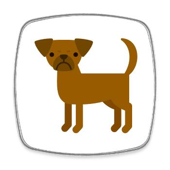 Petit Brabancon - Square fridge magnet - white - Front