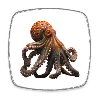 The octopus is a fascinating sea creature - Square fridge magnet - white - Front