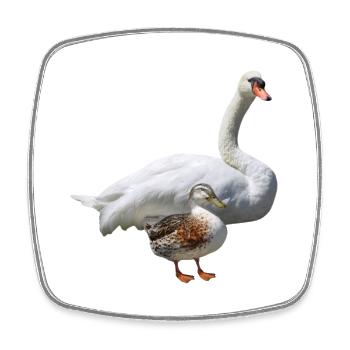 Cygne - Magnet carré - blanc - Devant