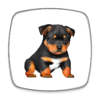Rottweiler Puppy Dogs Rottweiler Dog Puppy - Magnet carré - blanc - Devant