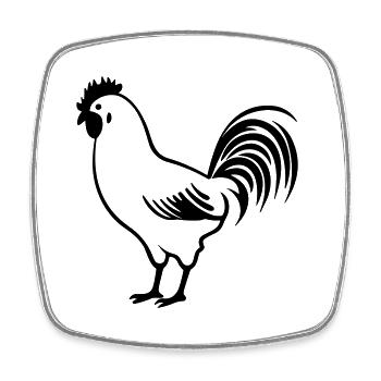 Huhn - Viereckiger Kühlschrankmagnet - Weiß - Vorne