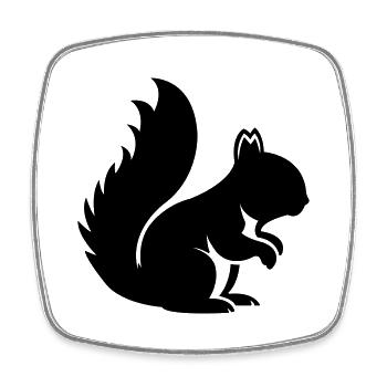 Eichhörnchen - Viereckiger Kühlschrankmagnet - Weiß - Vorne