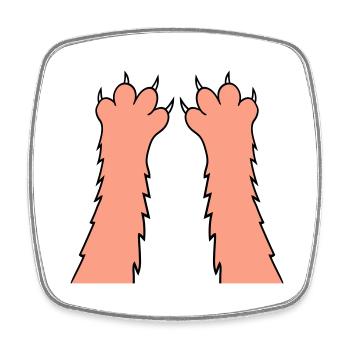 Cats, claws, paws, paws, sharp claws, scratching - Square fridge magnet - white - Front