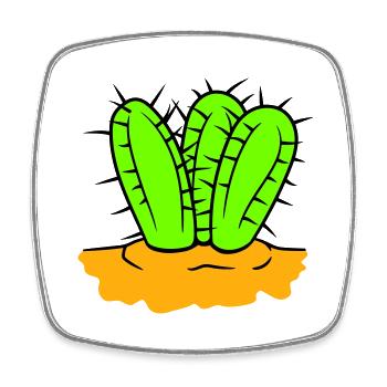 3 Cactus Plants Prickly Spiny Cacti Desert - Square fridge magnet - white - Front