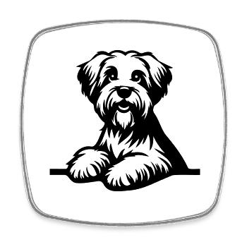 Dandie Dinmont Terrier - Square fridge magnet - white - Front