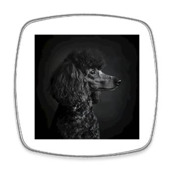 Black Animals - Black Poodle - Square fridge magnet - white - Front