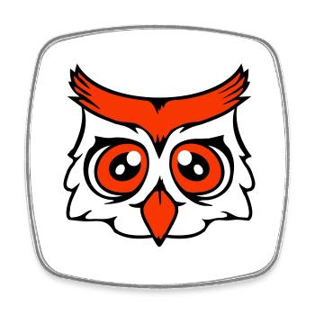 hibou oiseau aigle hibou hibou nuit oiseau effraie des granges chouette bande dessinée - Magnet carré - blanc - Devant
