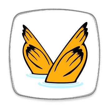 2 ducks diving underwater head lake drinking water - Square fridge magnet - white - Front